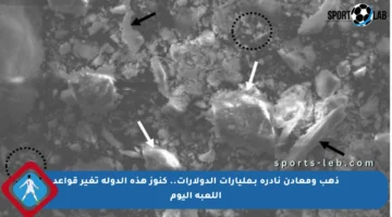 ذهب ومعادن نادرة بـمليارات الدولارات.. كنوز هذه الدولة تغير قواعد اللعبة اليوم